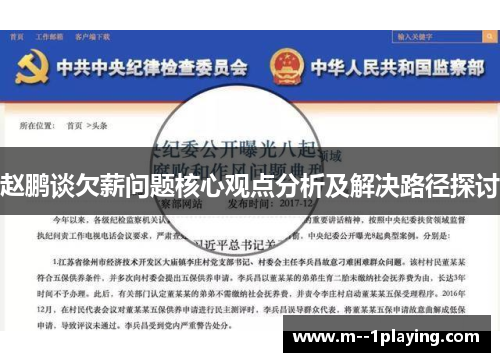 赵鹏谈欠薪问题核心观点分析及解决路径探讨